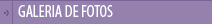 NOTÍCIAS